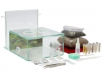 ANTCUBE Starter Set S - 20x20 - Regenwald